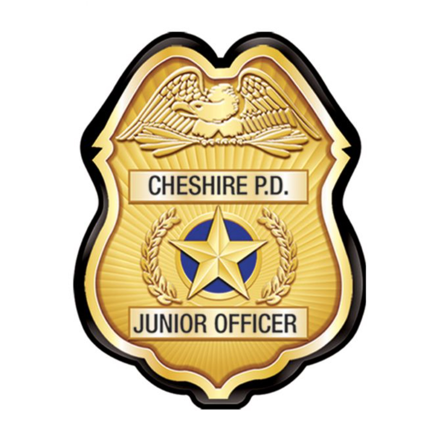 Clip-On Plastic Gold Police Badges (Custom)
